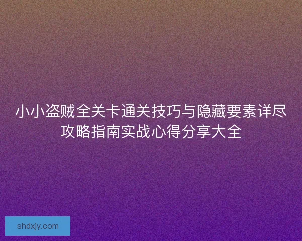小小盗贼全关卡通关技巧与隐藏要素详尽攻略指南实战心得分享大全